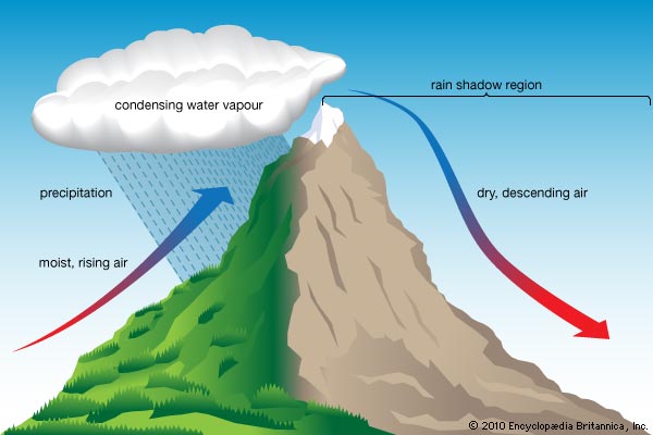Condensation, precipitation, and the rain shadow effect resulting from orographic lift